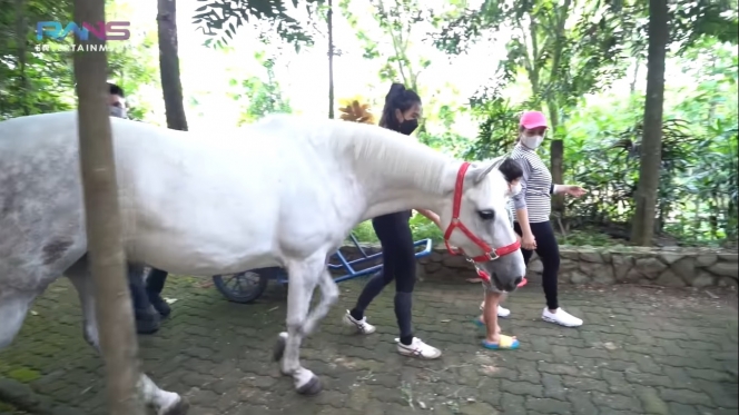 8 Potret Rafathar Dapat Hadiah Kuda Putih, Langsung Didatangkan dari Belanda