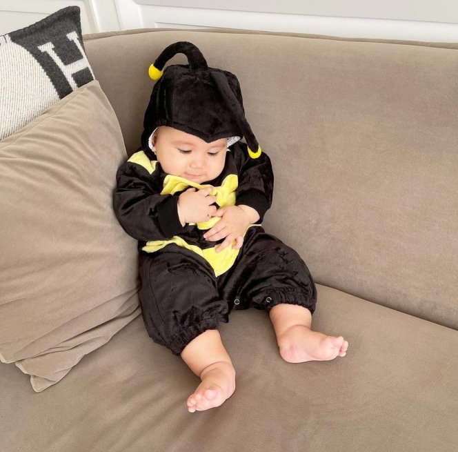 Ini Potret Lucu Baby Ukkasya Pakai Kostum Lebah, Gemesnya Overload!
