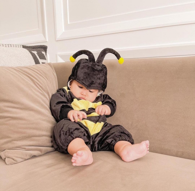 Ini Potret Lucu Baby Ukkasya Pakai Kostum Lebah, Gemesnya Overload!