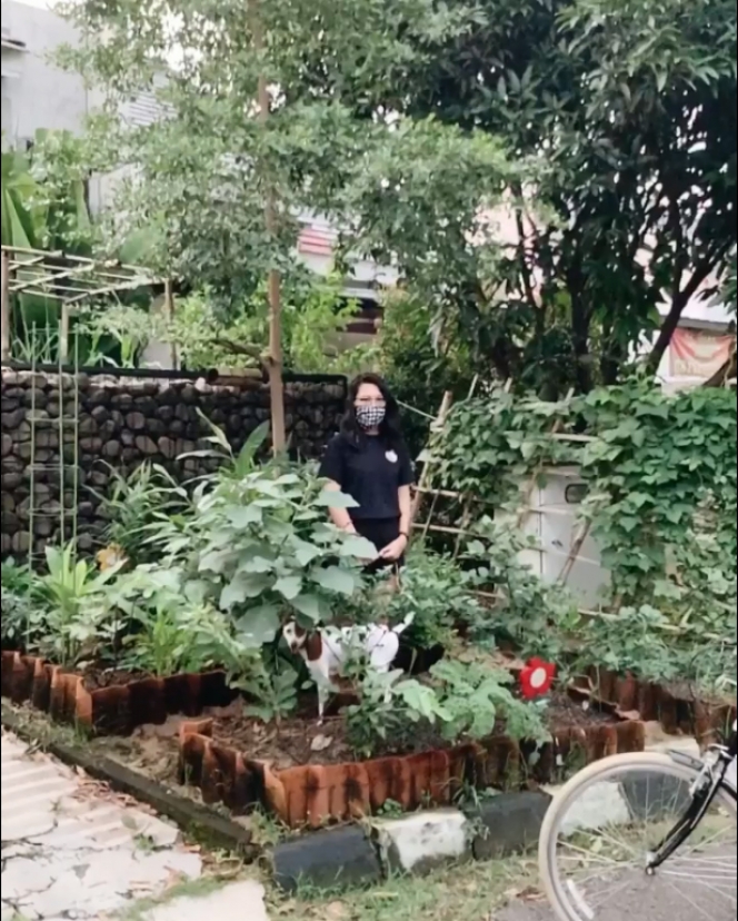 Suka Bercocok Tanam, Berikut 8 Artis yang Memiliki Kebun Sayur Sendiri di Rumah