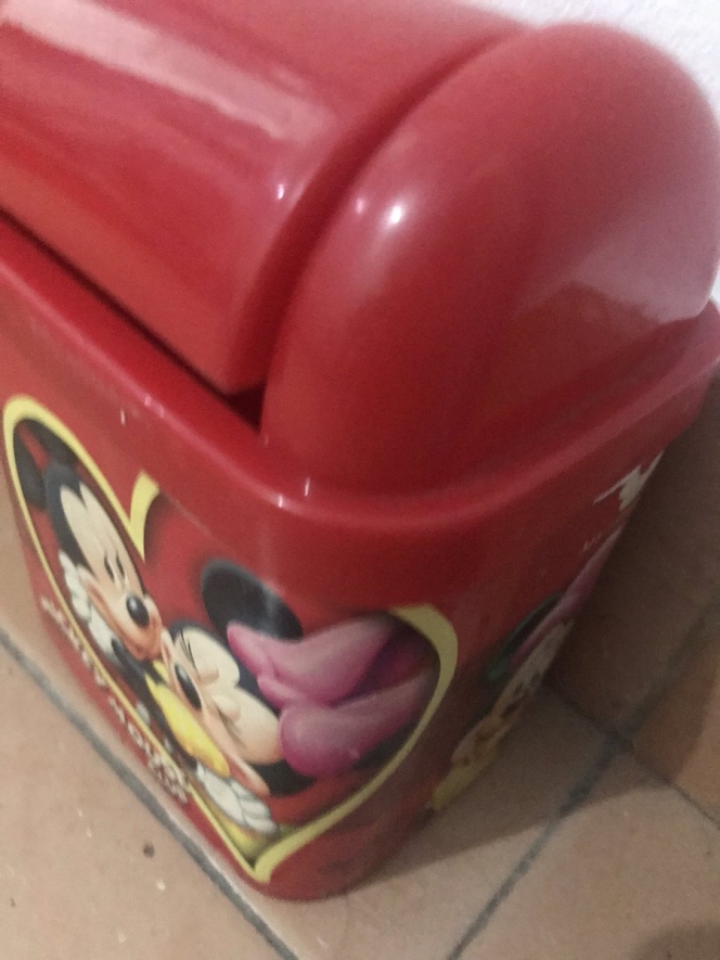 Dekorasi Perabotan Netizen ini Serba Mickey Mouse, Tikus Asli Kalah Saing!