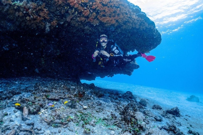 Seru Banget, Berikut 7 Potret Gisella Anastasia Diving Bareng Penyu Besar