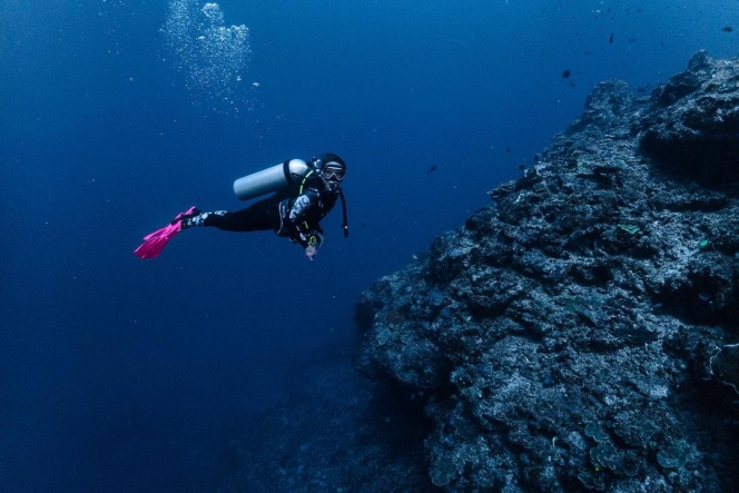 Jalani Hobi Baru, Ini 7 Potret Gisela Anastasia Lakukan Free Diving