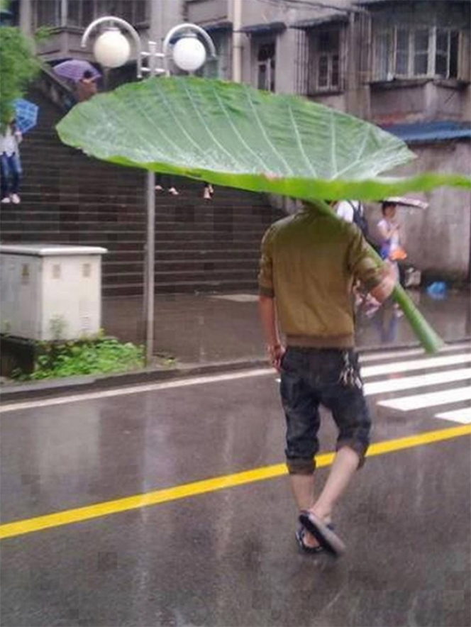 Inspirasi untuk Musim Hujan, Begini 15 Inovasi Cara Pakai Payung Paling Canggih
