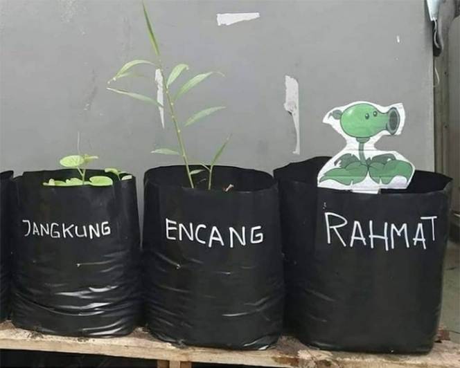 12 Aksi Kreatif Para Petani, Bukti Sah kalau Indonesia Negara Agraris