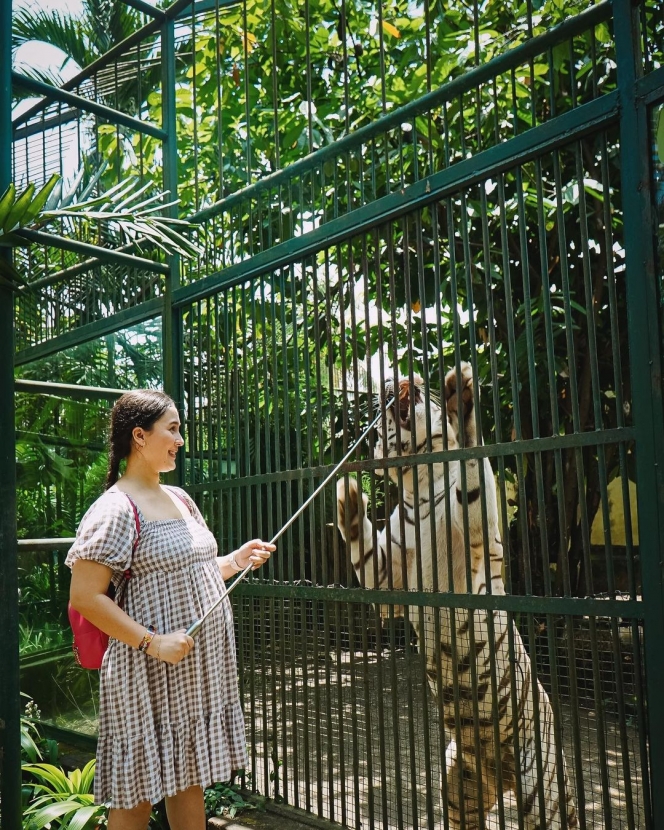 8 Potret Keseruan Lidi Brugman dan Keluarga Main ke Kebun Binatang, baby-Bump-nya Curi Perhatian