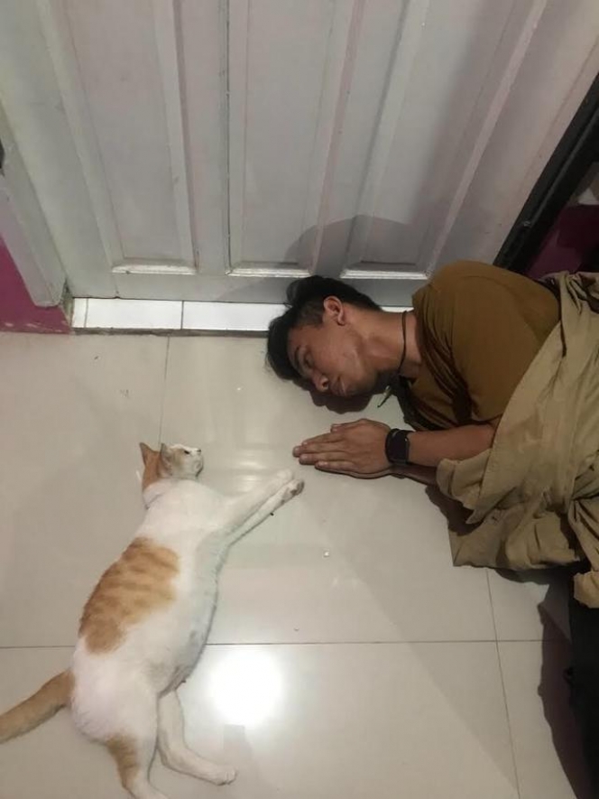 9 Potret Tingkah Lucu Kucing Bareng Majikannya, Bestie Banget!