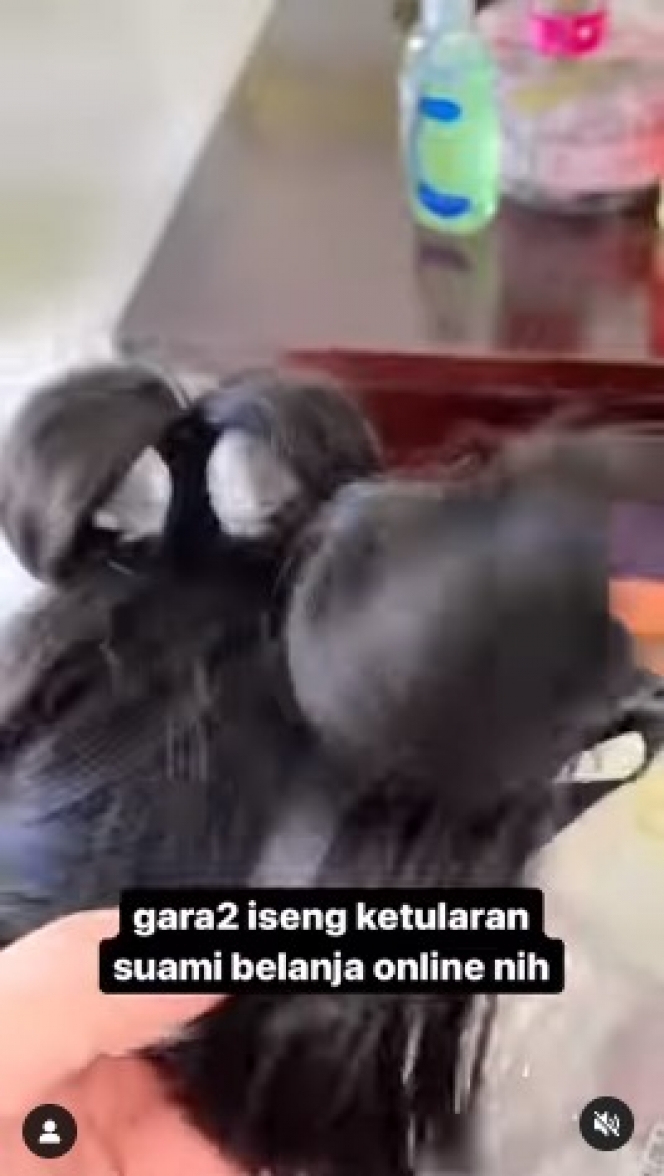 Potret Baby Meshwa Anak Bungsu Denny Cagur Pakai Wig, Gemas Dibilang Mirip Pacarnya Boboho!