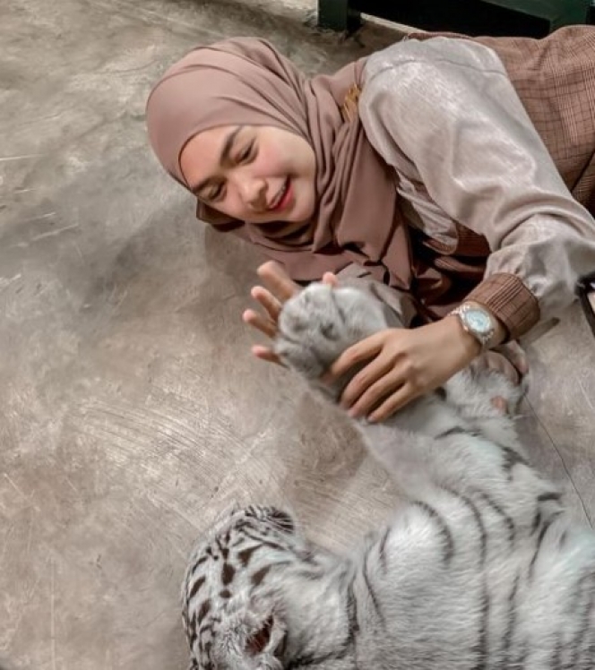 11 Potret Ria Ricis Peluk Selen Harimau Putih Alshad Ahmad, Berani Banget Udah Kayak Main Sama Bayi!