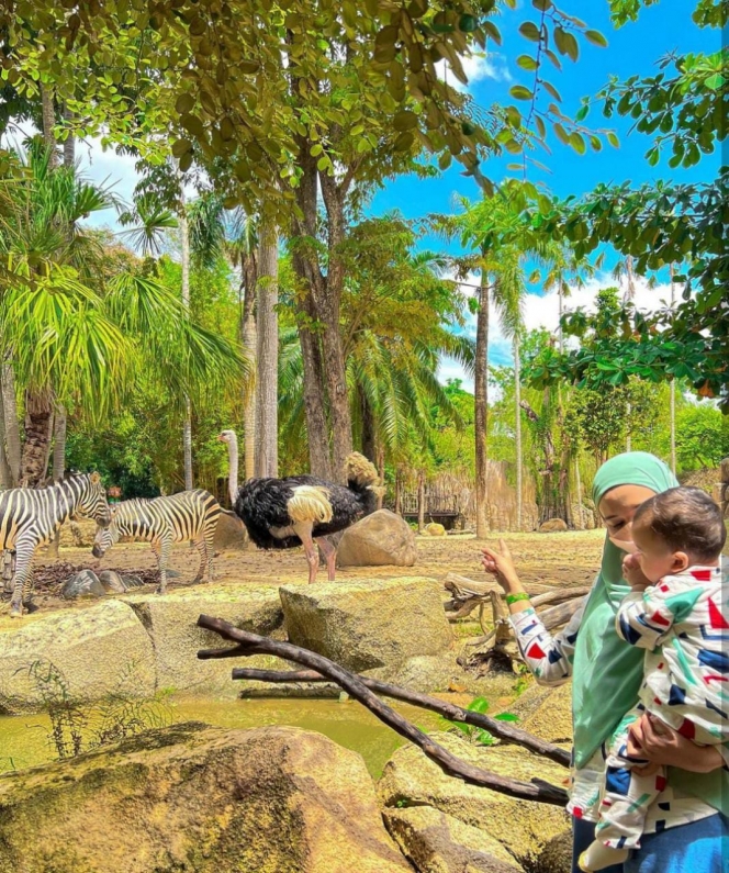 Ini Potret Keseruan Ukkasya Main ke Kebun Binatang Bali Bareng Keluarga, Gemes Banget Dicium Rusa!