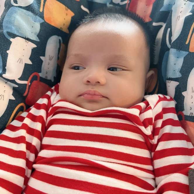 Ini Potret Baby Ameena yang Genap Berusia 2 Bulan, Makin Chubby dan Rambut Lebatnya Curi Perhatian!