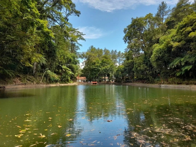 10 Potret Rowo Bayu, Tempat yang Diduga jadi Lokasi Asli KKN di Desa Penari