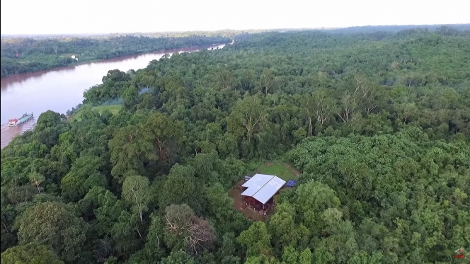 Nggak Punya Tetangga, Ini 12 Potret Rumah Andrew Kalaweit di Tengah Hutan Kalimantan 