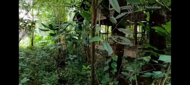 Bak di Tengah Hutan, Ini Potret Rumah Ahmad Dhani yang Terbengkalai dan Sudah Menyatu dengan Alam