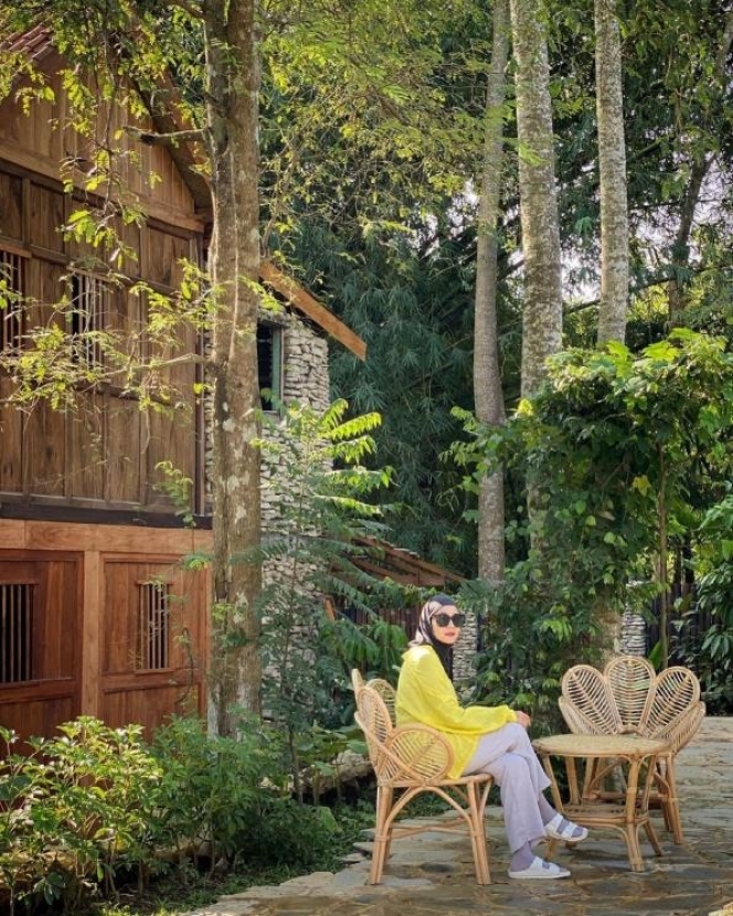 Mencari Suasana Sunyi dan Tenang, Ini 6 Selebriti yang Memiliki Rumah di Tengah Hutan