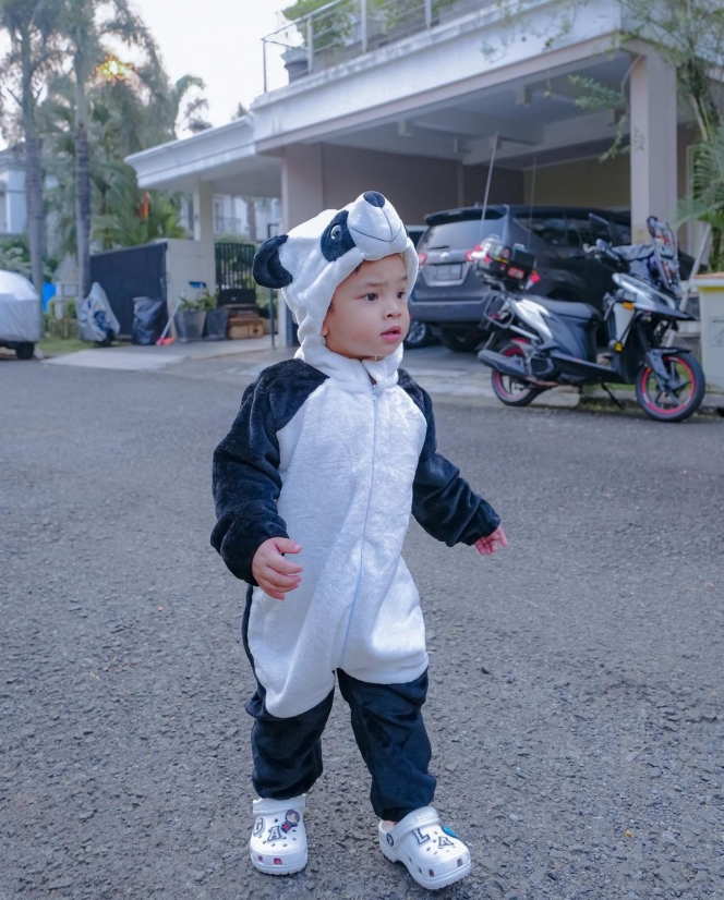 Gemes Banget, Ini Potret Gala Sky Pakai Kostum Panda