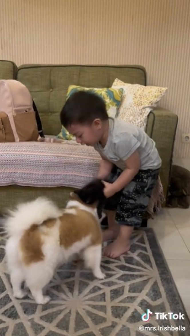 Potret Baby Air Anak Irish Bella Dikejar Anjing Saat Sedang Gendong Kucing, Ekspresinya Bikin Netizen Kasihan Sekaligus Ngakak