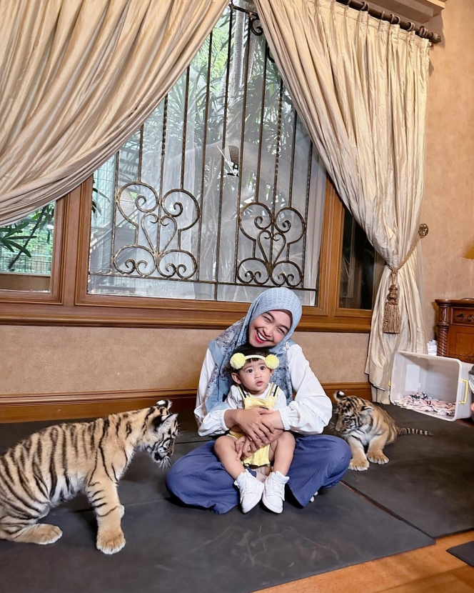 10 Potret Baby Moana Main Bareng Harimau Alshad Ahmad, Gak Ada Takutnya Mirip Ria Ricis Banget!