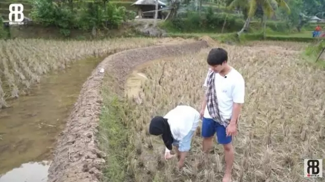 Dinobatkan Jadi Duta Petani Milenial, Ini Potret Sawah Lesti Kejora di Cianjur yang Luas Banget!