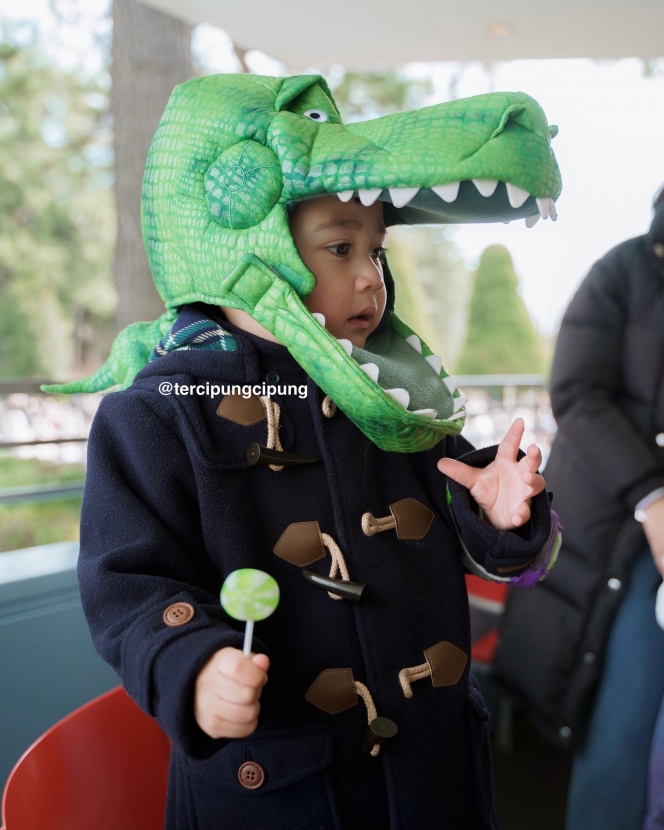 Gemoy Maksimal, Ini 9 Potret Cipung kenakan Kepala Dino di Tokyo Disneyland