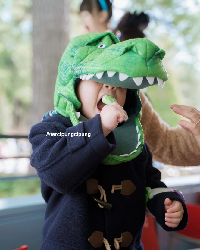 Deretan Foto Rayyanza Cipung pakai Kepala Dinosaurus, Gemasnya Tumpah-Tumpah