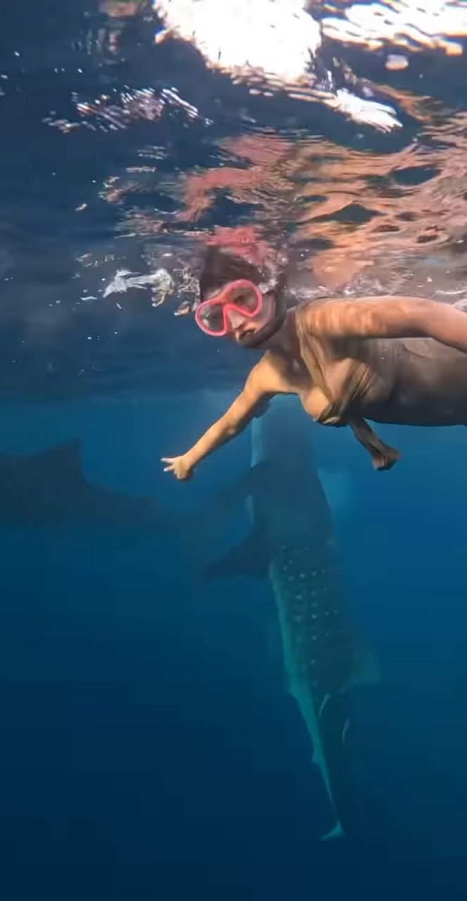 Gak Ada Takutnya, Ini Foto Keseruan Asri Welas saat Renang Bareng Hiu Paus di Sumbawa