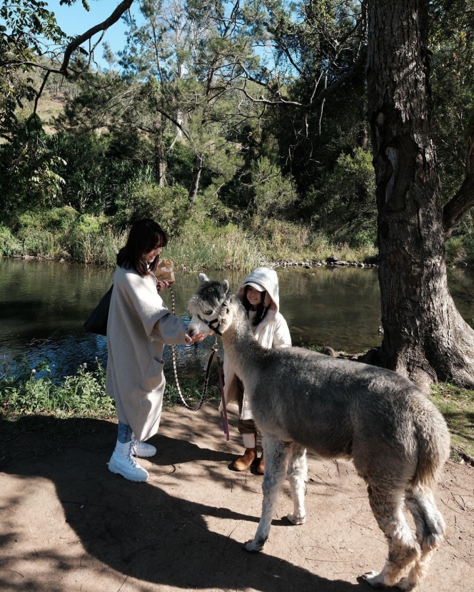 Liburan Bareng Gading, Begini Gemasnya Gempi dan Gisel saat Main Bareng Alpaka di Australia