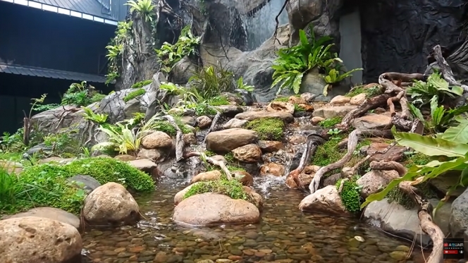 13 Foto Rainforest Garden di Rumah Raffi Ahmad, Air Terjun dan Sungai Buatan bak Cuilan Surga