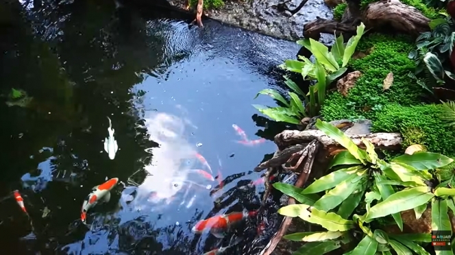 13 Foto Rainforest Garden di Rumah Raffi Ahmad, Air Terjun dan Sungai Buatan bak Cuilan Surga