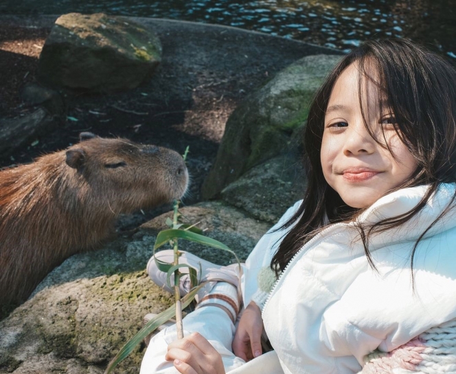 Tetap Kompak Meski Pisah, Gading dan Gisel Ajak Gempi Beri Makan Capybara saat Liburan