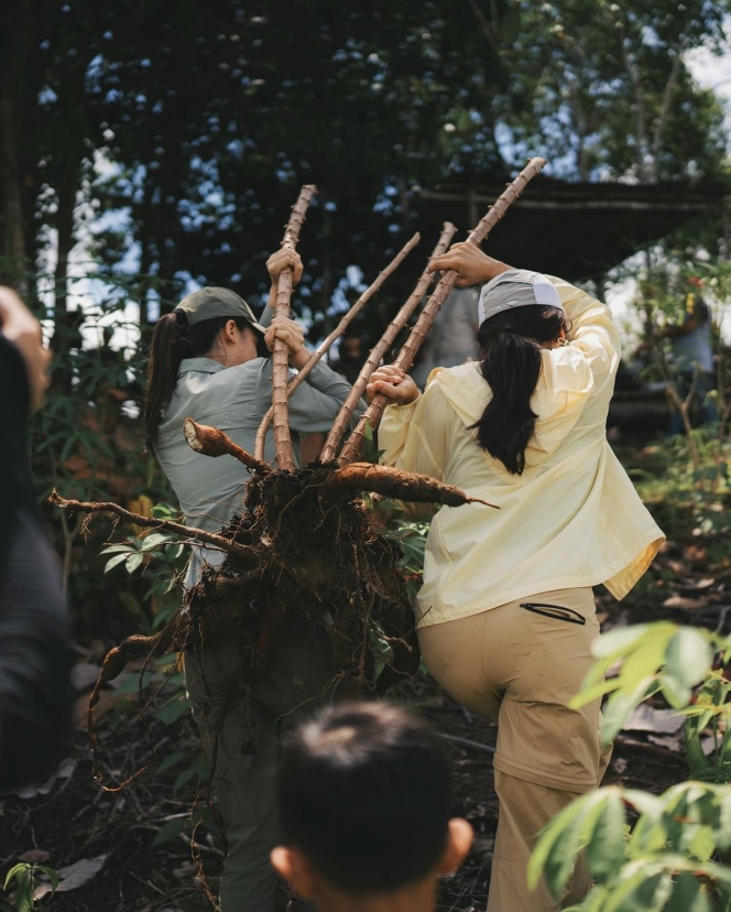 10 Foto Maudy Ayunda Berpetualang di Kalimantan, Happy Banget Bisa Panen Singkong Sendiri