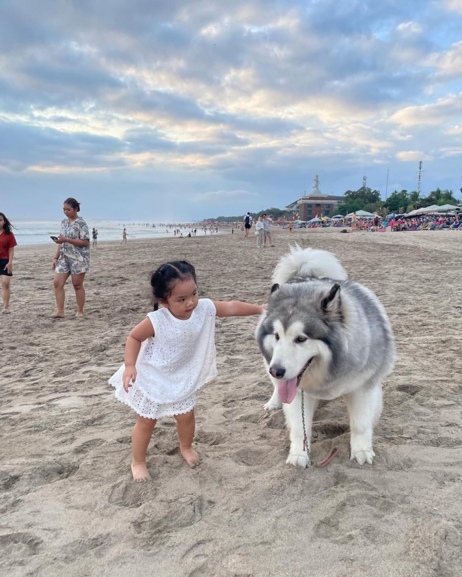 Tingkah Gemas Xarena Anak Siti Badriah saat Minta Foto bareng Anjing Besar, Ekspresinya Lucu Banget!