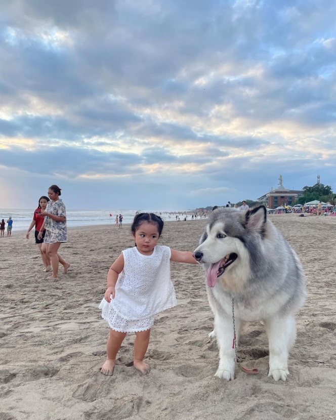 Tingkah Gemas Xarena Anak Siti Badriah saat Minta Foto bareng Anjing Besar, Ekspresinya Lucu Banget!