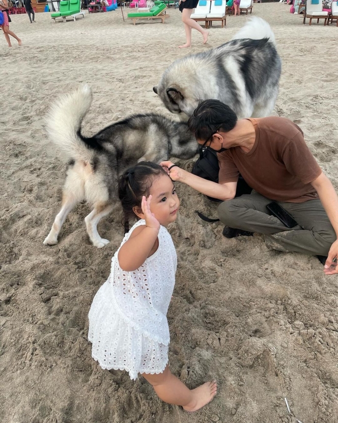 Tingkah Gemas Xarena Anak Siti Badriah saat Minta Foto bareng Anjing Besar, Ekspresinya Lucu Banget!