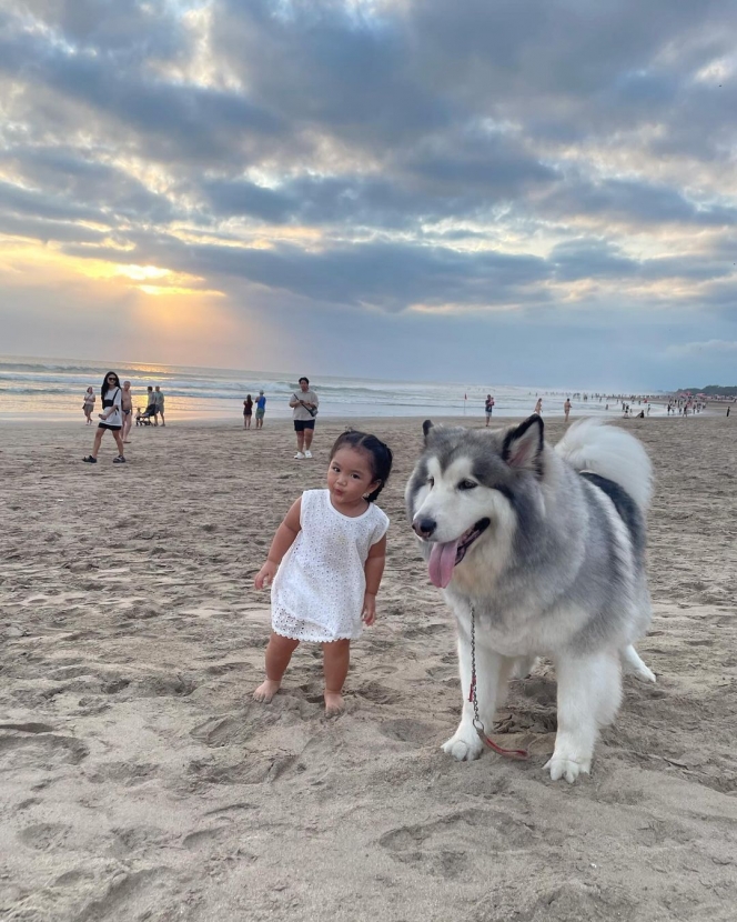 Tingkah Gemas Xarena Anak Siti Badriah saat Minta Foto bareng Anjing Besar, Ekspresinya Lucu Banget!